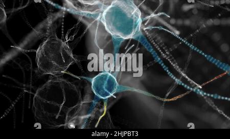 Neuronales Netzwerk von Nervenzellen. 3D Abbildung Stockfoto