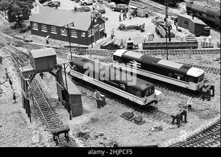 Zwei Diesellokomotiven der Baureihe 73 im Gleis. Stockfoto