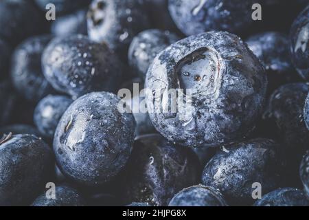 Frische reife Heidelbeeren mit Tröpfchen. Beerenhintergrund. Makrofoto Stockfoto