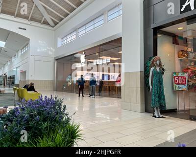 orlando, FL USA - 29. Oktober 2021: Das Äußere eines Apple Stores in Orlando, Florida. Stockfoto