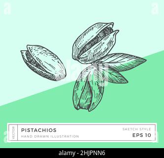 Handgezeichnete Vektor Pistazien Muttern Illustration. Vegane Pflanzenbasierte Lebensmittelzeichnung mit buntem Hintergrund isoliert Stock Vektor