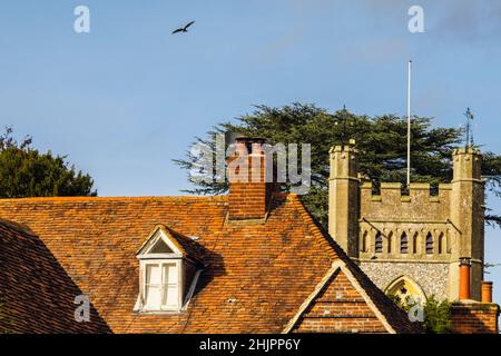 Red Kite fliegt tief über die Dächer und die Kirche St. Mary the Virgin aus dem 14th. Jahrhundert im historischen Dorf Chilterns. Hambleden, Buckinghamshire, England, Großbritannien Stockfoto