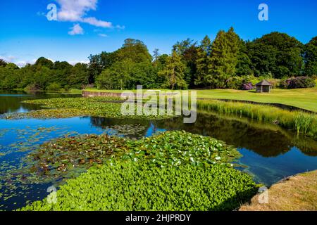 Malone Golf Club, Ballydrain Estate, Belfast, Nordirland Stockfoto