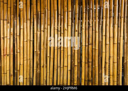 Alte braune Ton Bambus einfache Wand oder Bamboo Zaun Textur Hintergrund für Innen-oder Außenbereich Design Vintage Ton. Hintergrund mit braunen Bambusstäben Stockfoto