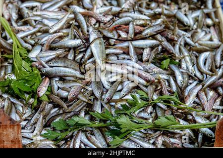 Nahaufnahme von frischen Sardinen auf dem Fischmarkt Stockfoto