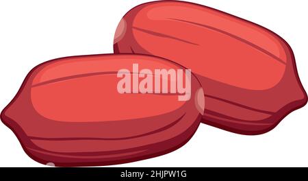 Realistic roasted peanut nuts white background - Vector illustration Stock Vektor