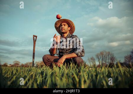 Gemischter männlicher Bauer, der auf Weizenfeldern steht und mit frischem Apfel spielt Stockfoto