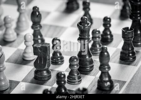 Schachbrett mit Schachspiel, das in schwarz und weiß gespielt wird. White's Queen und Knight im Fokus Stockfoto