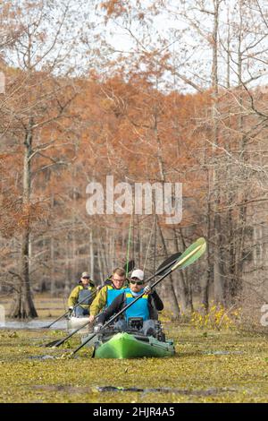 Mann paddelt mit dem Kajak durch die Vegetation Stockfoto