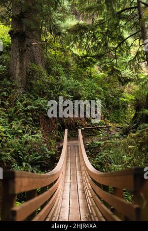 Leere Holzbrücke auf dem Oregon Nature Trail Stockfoto