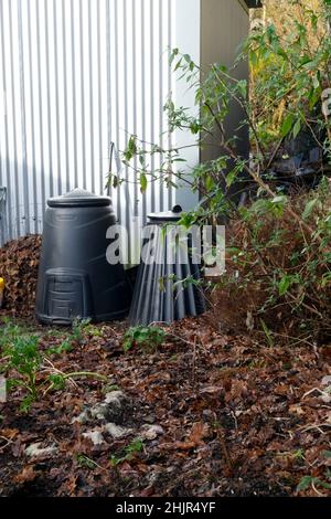 Schwarze Kompostbehälter zum Recycling von Lebensmitteln wurden in einem herbstlichen Wintergarten an einer gewellten Stallwand in Carmarthenshire Wales UK KATHY DEWITT vergast Stockfoto