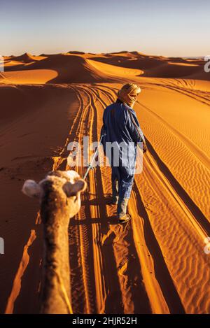 Berberführer führt sein Kamel in der Merzouga Wüste, Marokko. Stockfoto