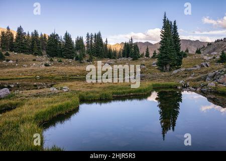 Landschaft in der Holy Cross Wilderness, Colorado Stockfoto