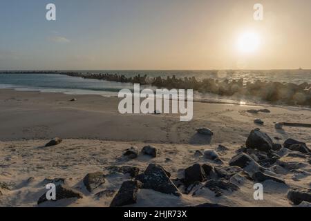 Seehunde am Strand der Düne in Junuary, Hochseeinsel Helgoland, Nordsee, Schleswig-Holstein, Norddeutschland, Mitteleuropa Stockfoto