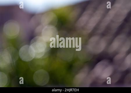 Abstrakte Hintergrundunschärfe, die aus Blättern von Bäumen im Feld gewonnen wird. Grünes und graues Bokeh bei Tageslicht. Stockfoto