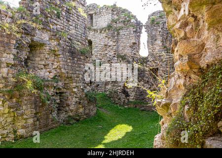 Die Ruinen von Thirlwall Castle aus dem 12th. Jahrhundert am Ufer des Flusses Tipalt in der Nähe von Greenhead, Northumberland, Großbritannien Stockfoto