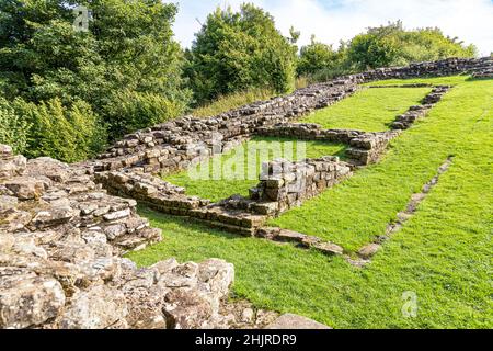 Die Überreste von Milecastle 48 (Poltross Burn) auf der Hadrianmauer in der Nähe von Gilsland, Cumbria, Großbritannien Stockfoto