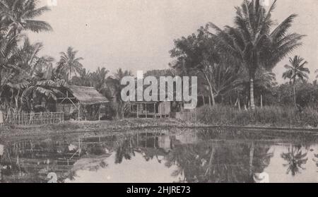 Aufruhr des Lebens auf einer reichen tropischen Insel der Niederländischen Ostindien. Indonesien. Malaiischer Archipel (1923) Stockfoto