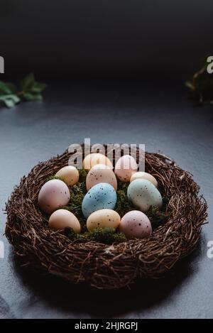 Nahaufnahme Weidennest mit Moos und farbigen Ostereiern auf grauer Leinenstoff-Serviette auf dunklem Hintergrund. Dunkle Stimmung. Frohe Ostern. Selektiv Stockfoto