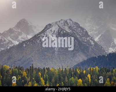 Erstaunlicher Herbsttag im Hochland. Bäume am Rande des Hügels in Herbstfarben. Reise nach dem Nordkaukasus, Archyz, Russland, der Weg zu den Dukkinski Seen. Stockfoto
