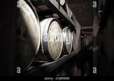 Werfen Sie einen Blick in die Reihen von Fässern, die in einem rick-Haus im Woodford Reserve reifen. Stockfoto