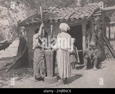 Einblick in das Leben im fremden Paraguay (1923) Stockfoto