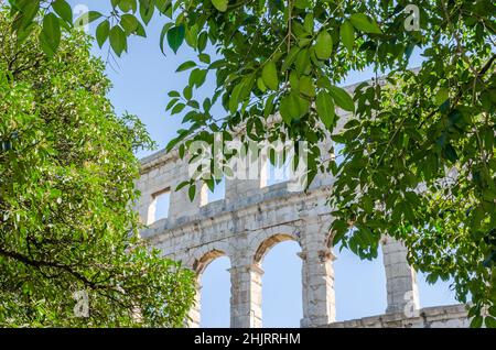 Die Pula Arena durch große Bäume mit grünen Blättern. Altes römisches Amphitheater mit restaurierten Bogenmauern in Kroatien. Gut Erhaltenes Denkmal. Stockfoto