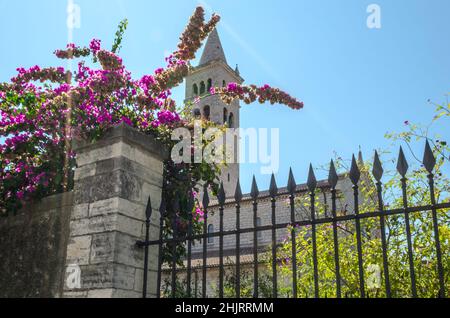 Niedriger Winkel Blick auf einen Glockenturm auf eine Kirche in einem blühenden Garten an einem sonnigen Tag mit hellem blauen Himmel in Pula, Kroatien. Stockfoto