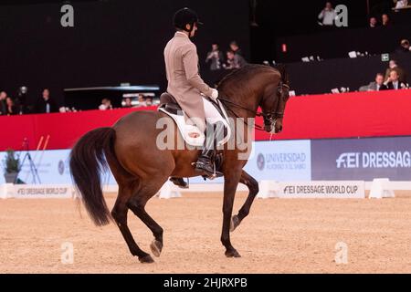 Daniel Martin Dockx (ESP) mit Manchego ARB (PRE) während der Longines FEI Weltmeisterschaft 2019 am 30 2019. November in der Madrid Horse Week, Spanien Stockfoto