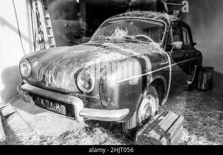 Scheune finden 1959 Renault Dauphine in einem Showroom Stockfoto