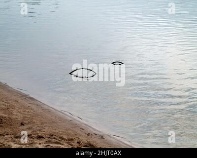 Im Sommer liegt im Fluss ein eisernes Kabel Stockfoto