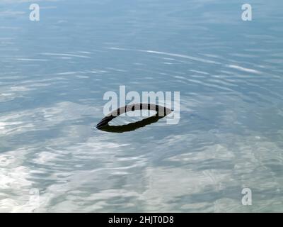 Im Sommer liegt im Fluss ein eisernes Kabel Stockfoto