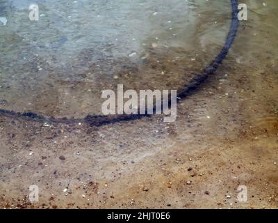 Im Sommer liegt im Fluss ein eisernes Kabel Stockfoto