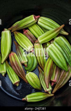 Korb mit frisch geerntetem Okra Stockfoto