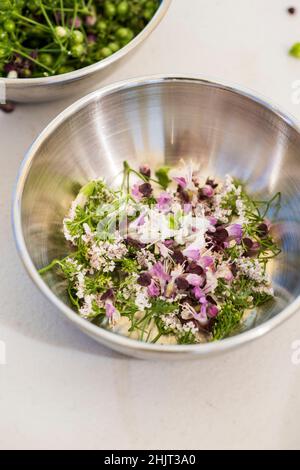 Pinch Schüssel mit Koriander und Basilikum Blumen Stockfoto