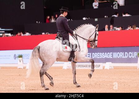 Rodrigo Torres (POR) mit Fogoso (LUS) während der Longines FEI Weltmeisterschaft am 29 2019. November in der Madrid Horse Week, Spanien Stockfoto