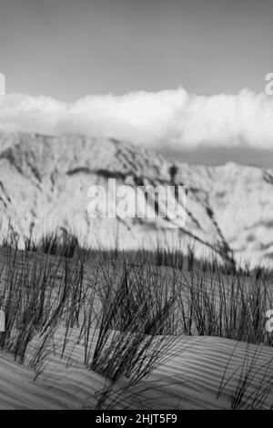 Graustufen-Aufnahme von Sanddünen mit Bergen im Hintergrund Stockfoto