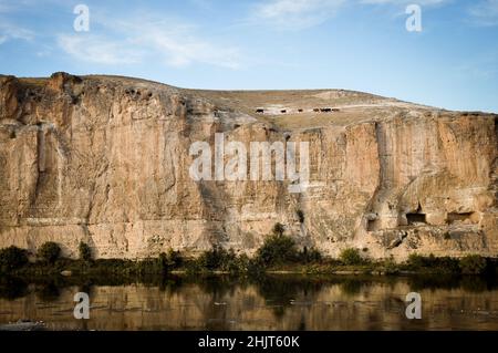 Kühe, die am Ufer des Tigris-Flusses spazieren und den Blick auf den Tigris-Fluss genießen Stockfoto