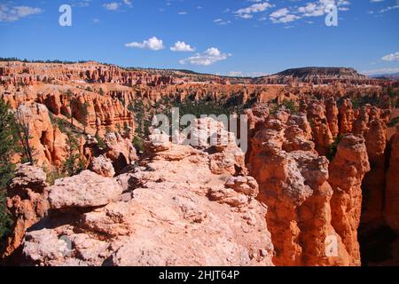 Das riesige Hoodoos-Feld, das vom Sonnenuntergangspunkt im Bryce Canyon National Park in Utah aus aufgenommen wurde Stockfoto