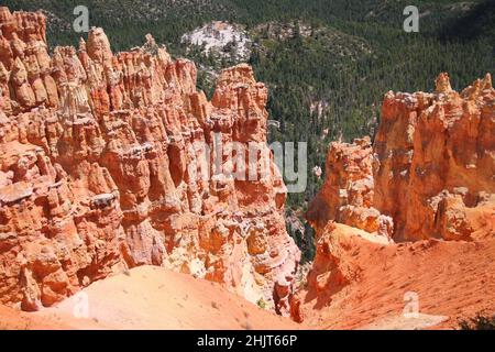 Die weit grünen Kiefern hinter den roten Felsen-Hoodoos des Bryce Canyon National Park in Utah Stockfoto