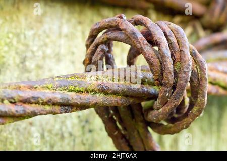 Nahaufnahme eines alten verdrehten rostigen Drahtes, das um sich selbst gewickelt ist, und eines alten hölzernen Fencepost. Stockfoto