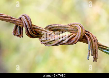 Nahaufnahme von zwei rostigen, verdrehten Drahtstücken, die durch Zusammenbinden eines Riffknotens miteinander verbunden sind. Stockfoto