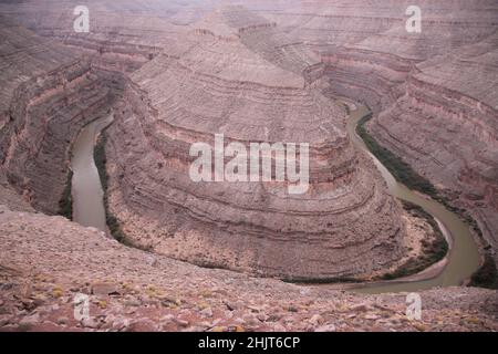 Der rosa Canyon und der Fluss des Goosenecks State Park in Utah Stockfoto