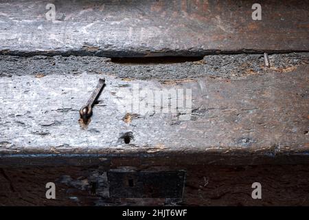 Holzkoffer in der St. Peter und St. Paul Kirche, Pettistree, Suffolk, Großbritannien Stockfoto