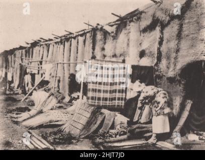 Erdbeben in Japan 1923: Flüchtlingslager in den Außengärten des Meiji-Schreins Stockfoto