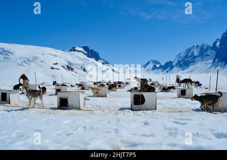 Musher Camp auf dem Mendenhall Glacier im Juneau Icefield, Alaska Stockfoto