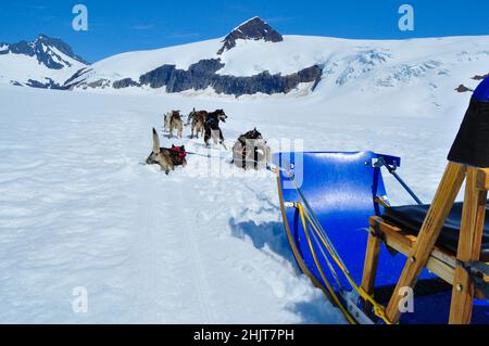 Musher Camp auf dem Mendenhall Glacier im Juneau Icefield, Alaska Stockfoto