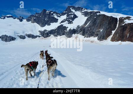 Musher Camp auf dem Mendenhall Glacier im Juneau Icefield, Alaska Stockfoto