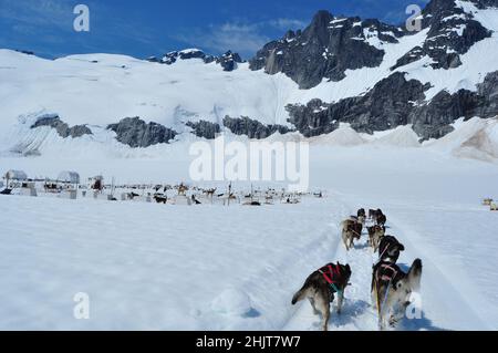 Musher Camp auf dem Mendenhall Glacier im Juneau Icefield, Alaska Stockfoto