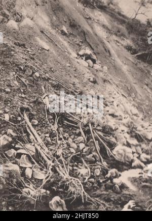 Erdbeben in Japan 1923: Erdrutsche in den Hakone-Bergen Stockfoto